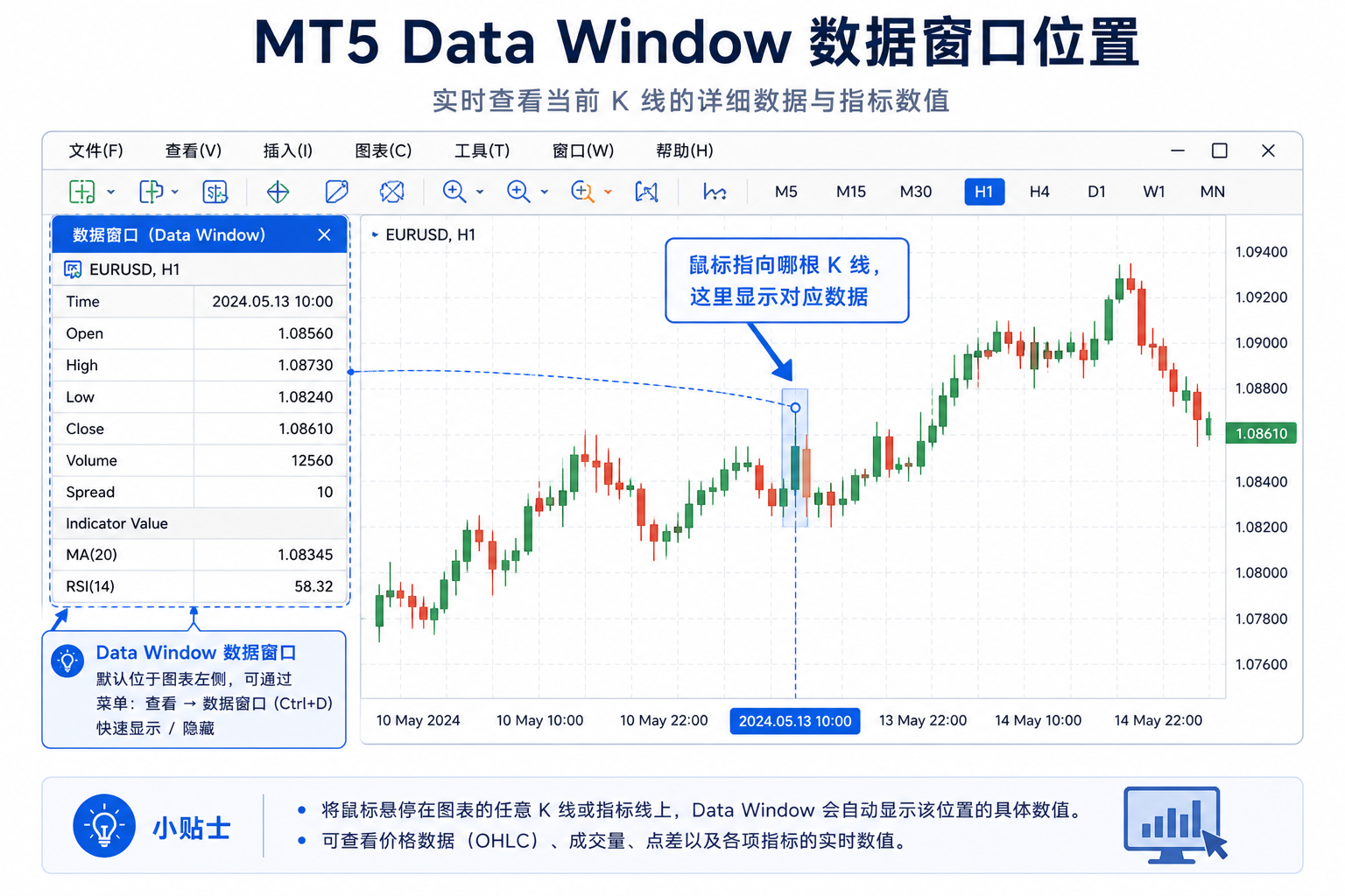 MT5 界面示意：图表旁独立的 Data Window 面板列出时间、OHLC 等字段